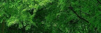 MctNaz's profile banner image