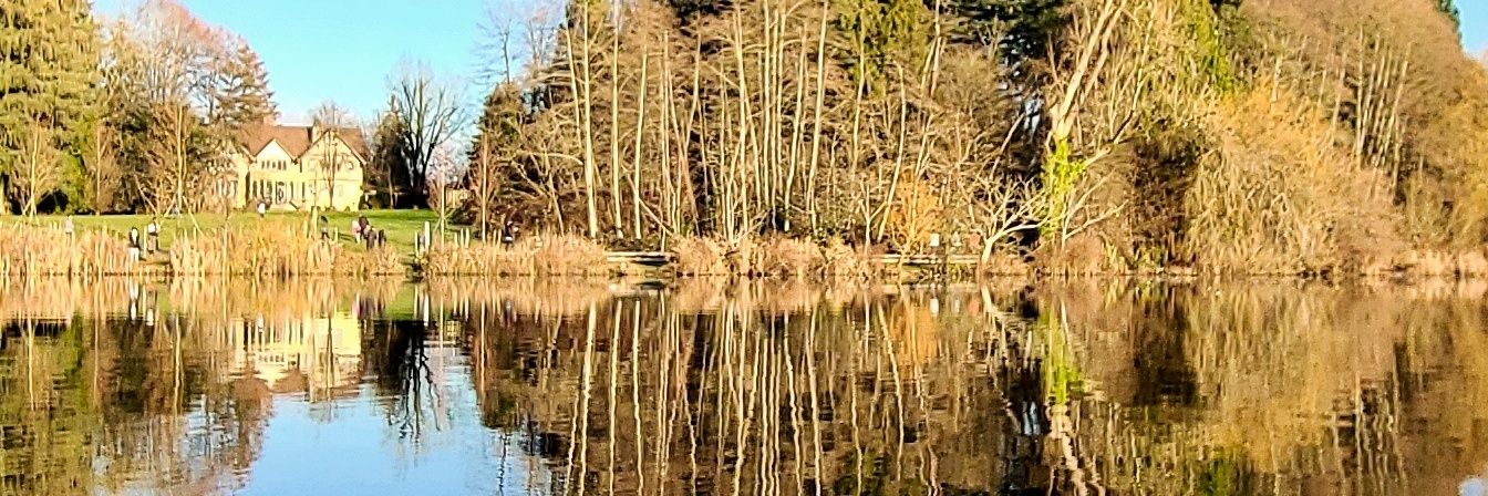 Eudaimonia ↗️🐦🧍‍♀️ banner