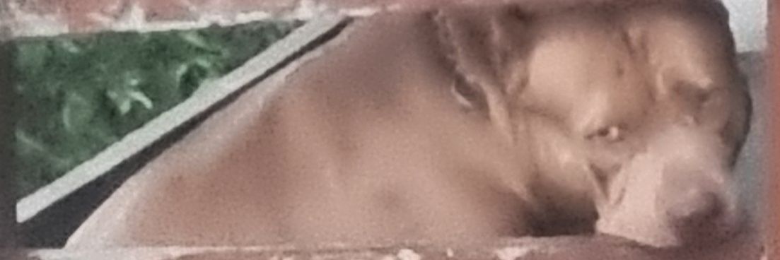 GabiTrindadd's profile banner image