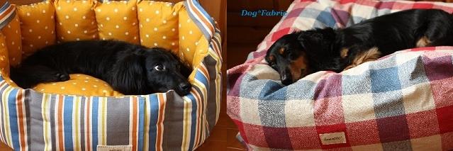 DogFabric's profile banner image