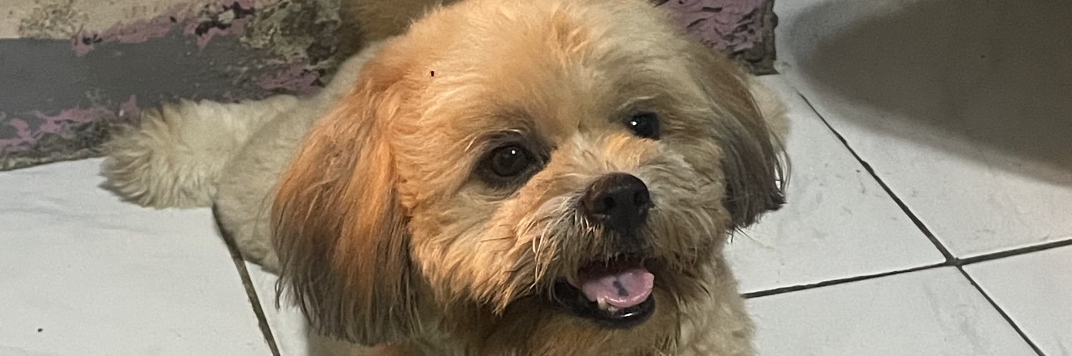 pawtweeck's profile banner image