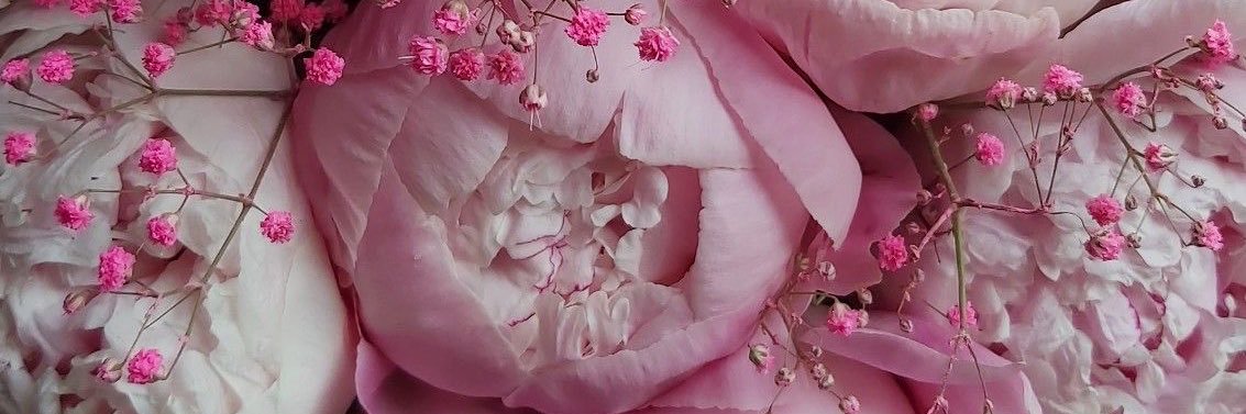MarianeeRM's profile banner image