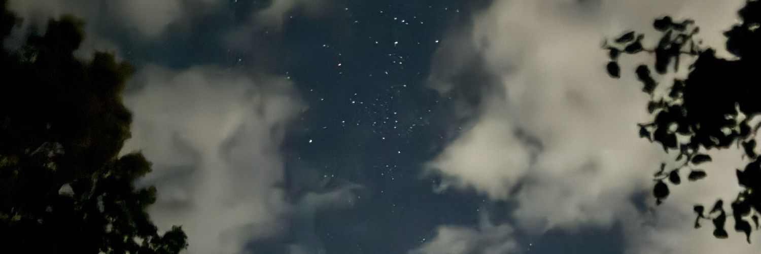 fethersnflowrs's profile banner image