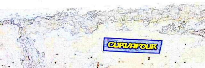 CURVAFOUREST1952 banner