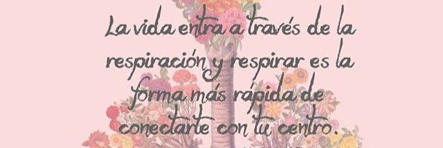 vannealfonso's profile banner image