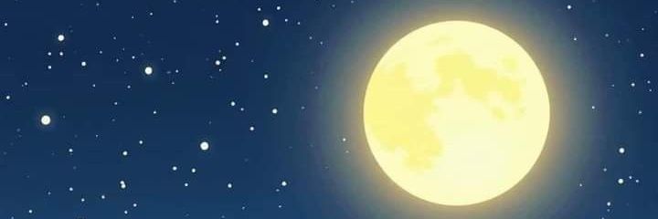 MWamakima's profile banner image