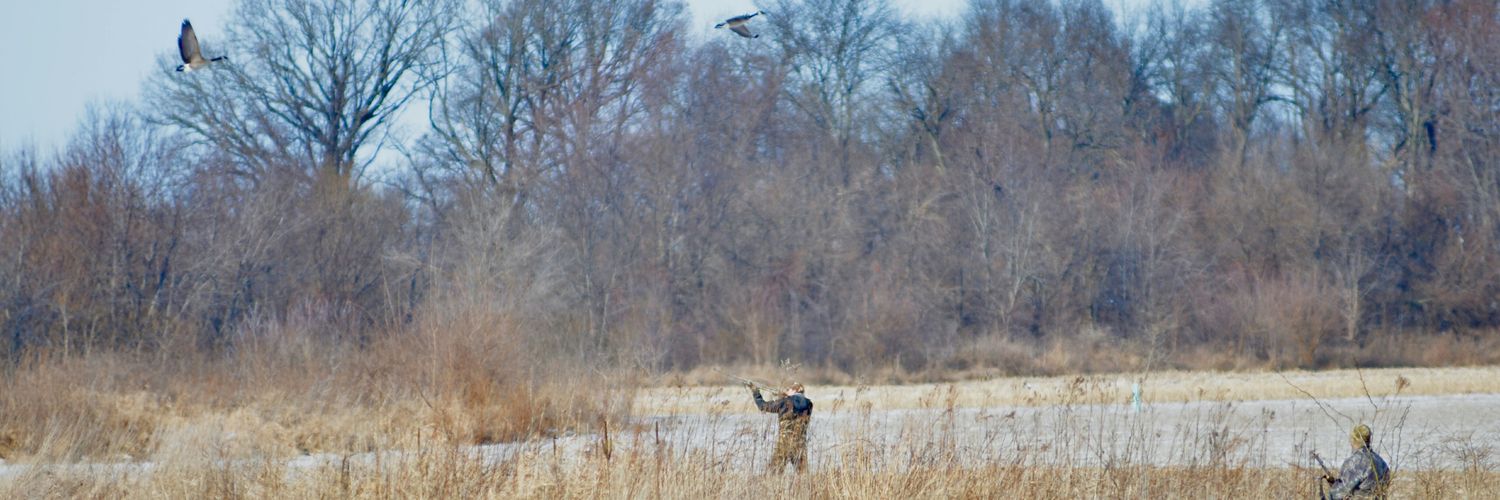 MitchellHelton's profile banner image