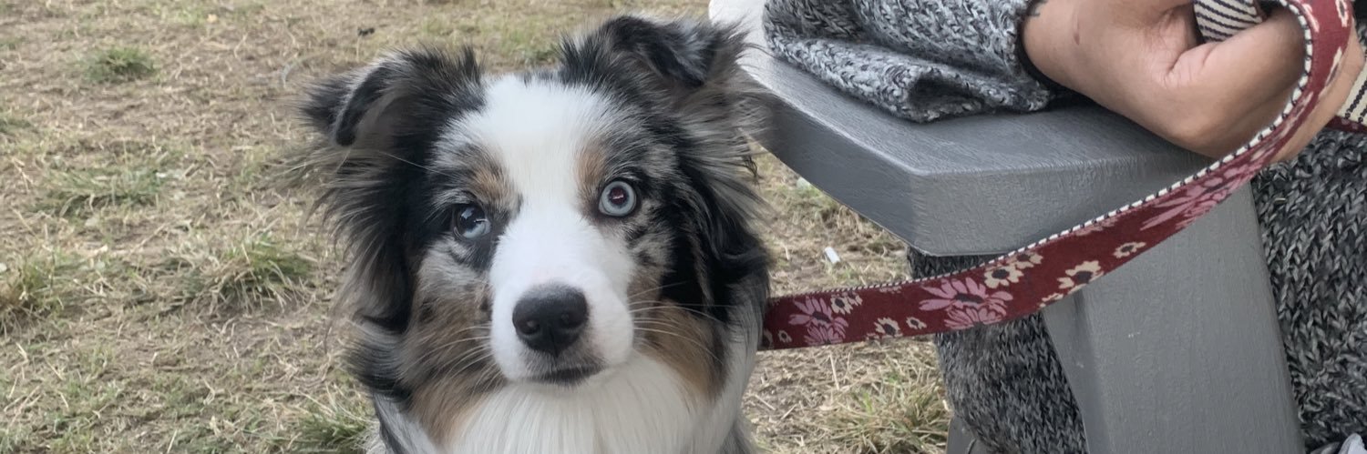 baggedvic △⃒⃘ banner