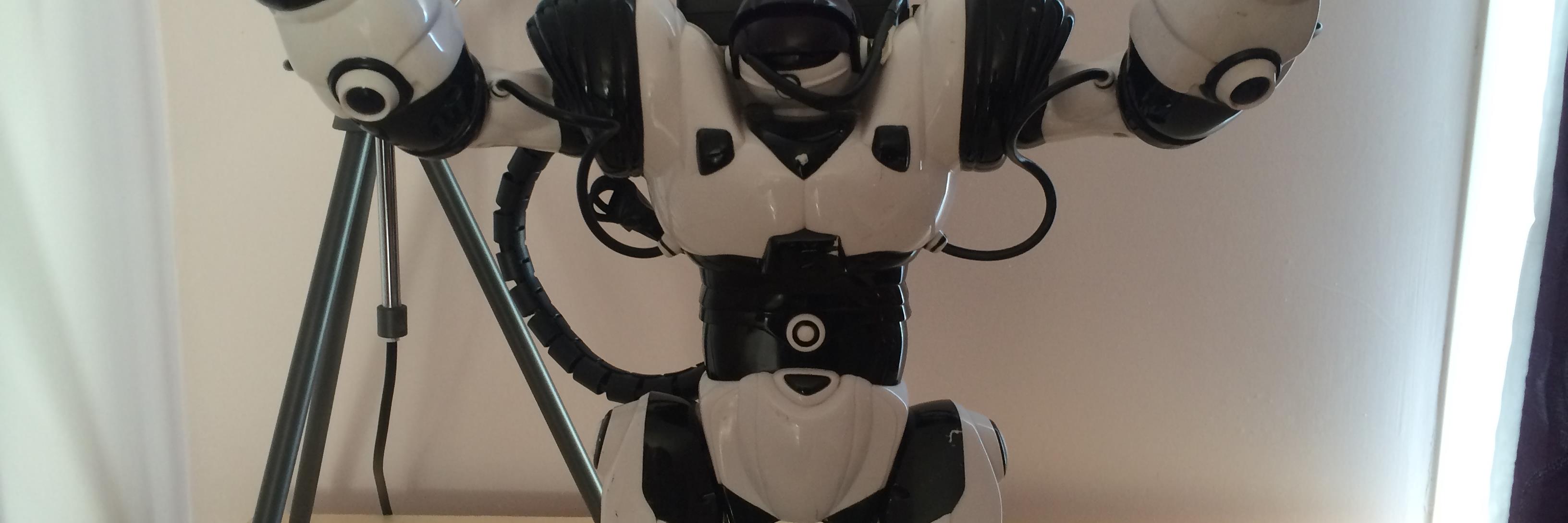 RobotWISE's profile banner image