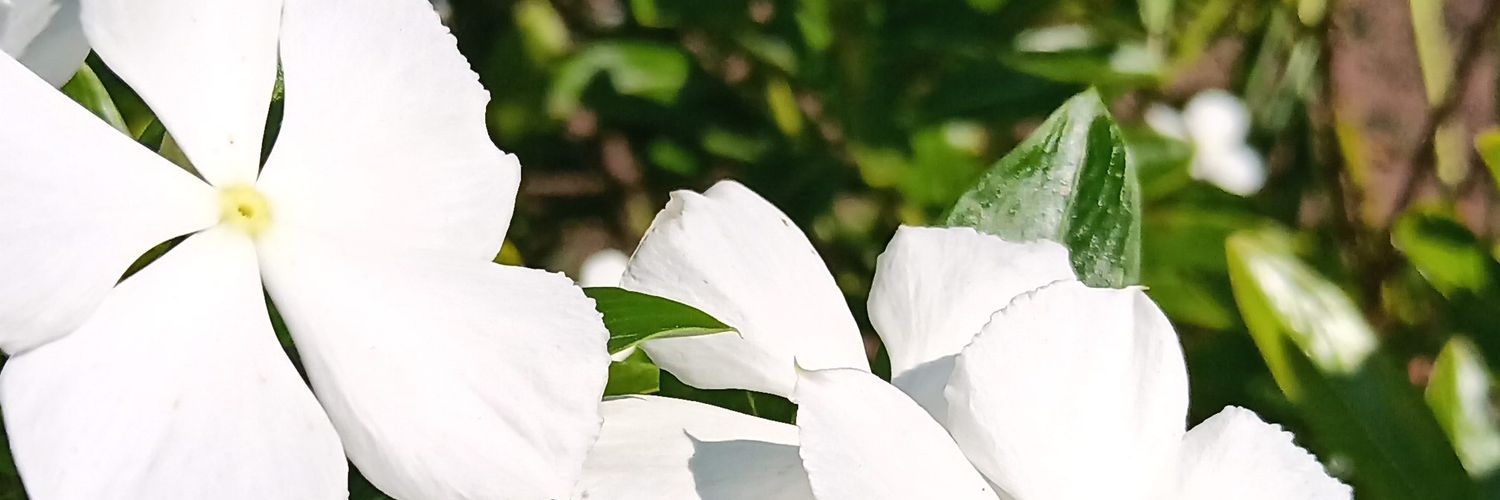 uLastBornWabo's profile banner image