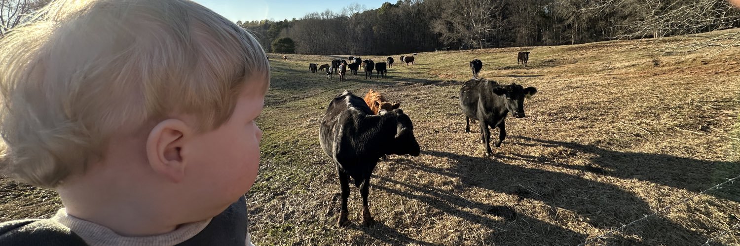 Bradley Bozeman banner