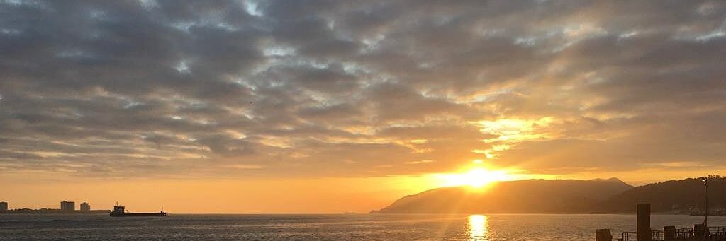Sandra Martinho banner