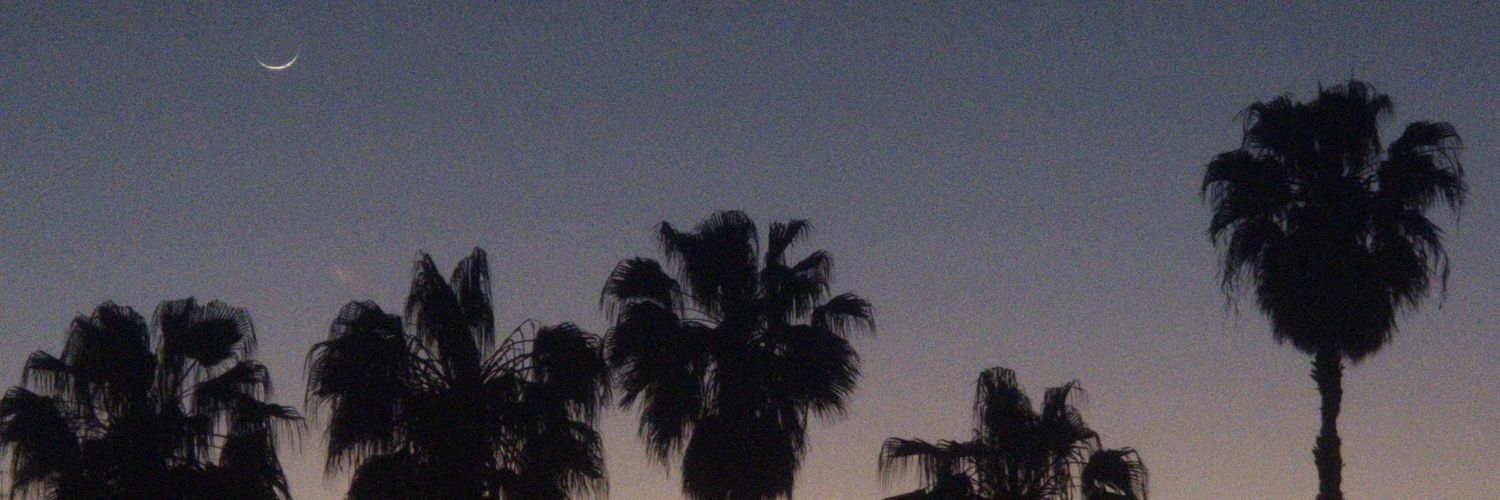 vinny_flower's profile banner image