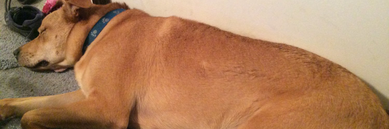 FriendsofCharlieCoyle banner