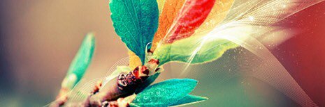 PauNicolee's profile banner image
