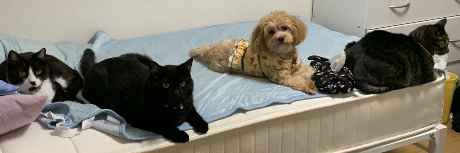 uni_wasa_'s profile banner image