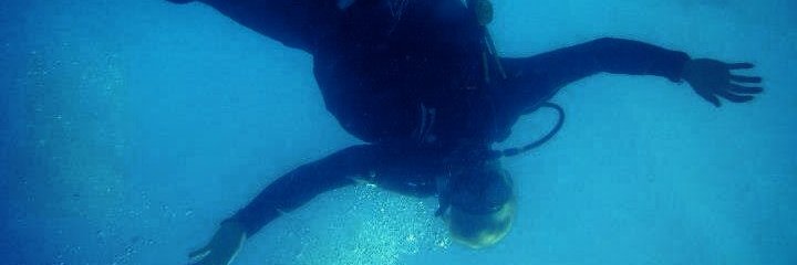 wiwickstrom's profile banner image