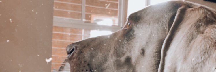 BruSbrascini's profile banner image