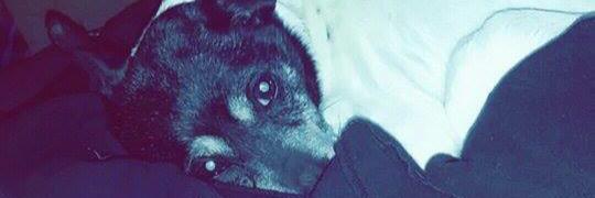 Childish_M_A_X's profile banner image