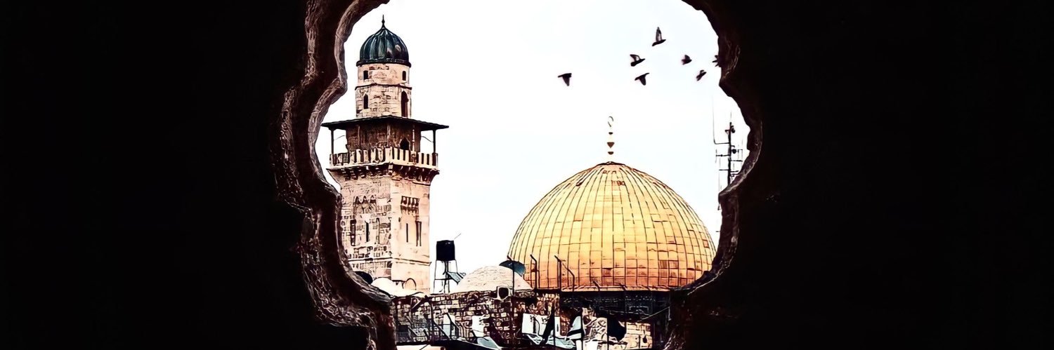 baraa96lem's profile banner image