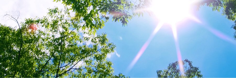 JAPANSST's profile banner image