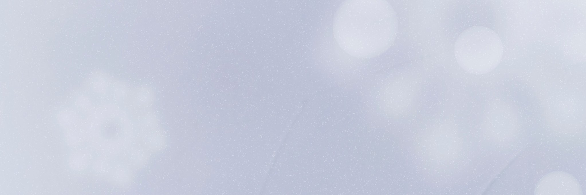 Aneta Rayzacher-Majewska banner