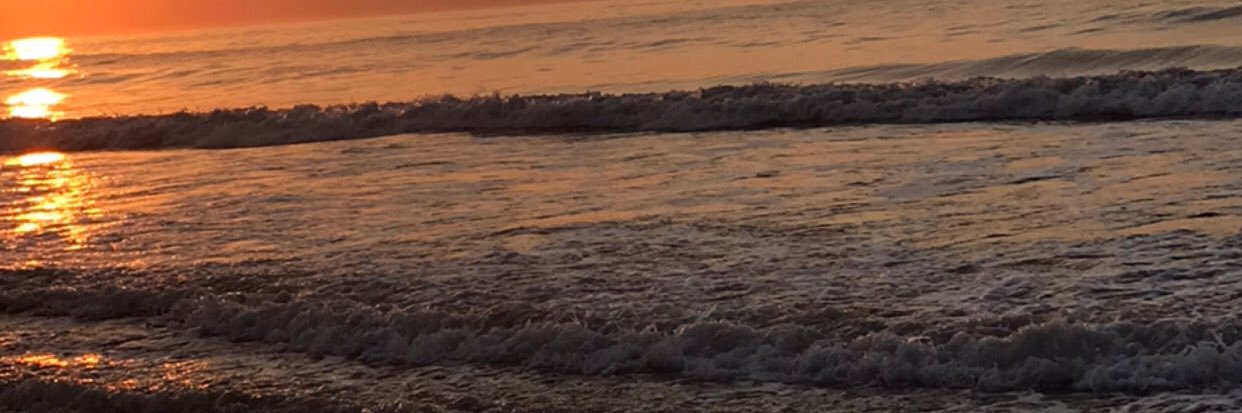 zeek banner