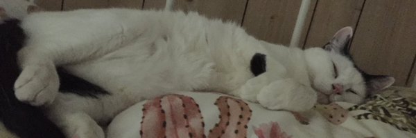 weezbart Profile Banner