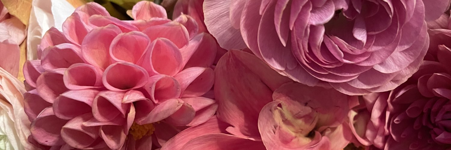 TaliaRosoff's profile banner image