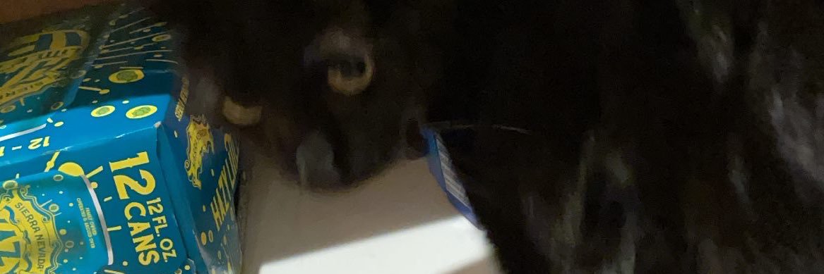 julnotjuul's profile banner image