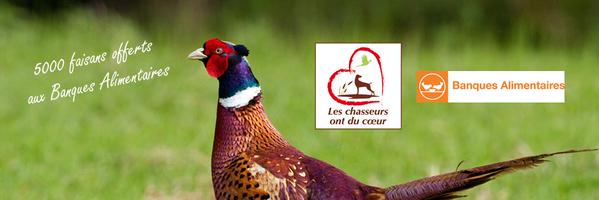 InterProchasse Profile Banner