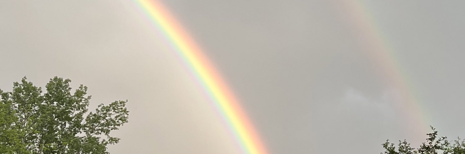 MemMorrissey's profile banner image