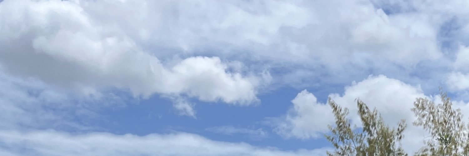 misieickrieitmi's profile banner image
