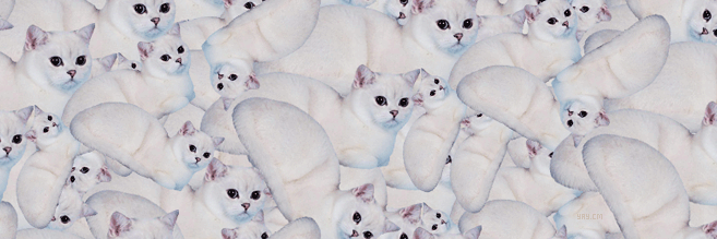 Ismilicious's profile banner image