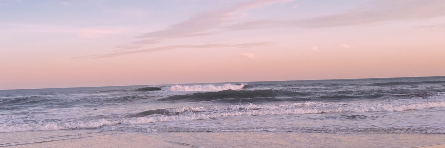 PipiDanna's profile banner image