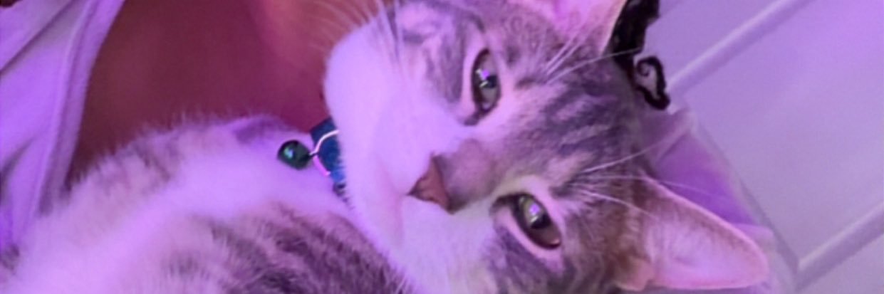aCharmNamed_Bre's profile banner image