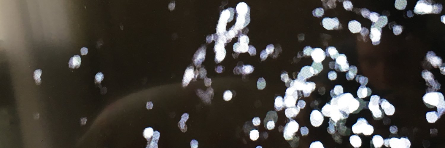 yrsobeautiful's profile banner image