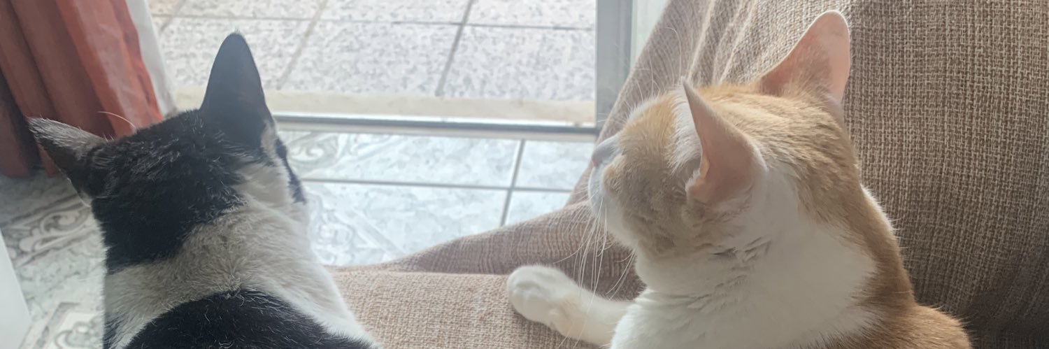 JessiiiFagundes's profile banner image