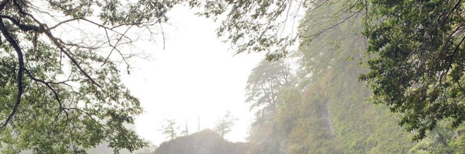 notoipagiles's profile banner image