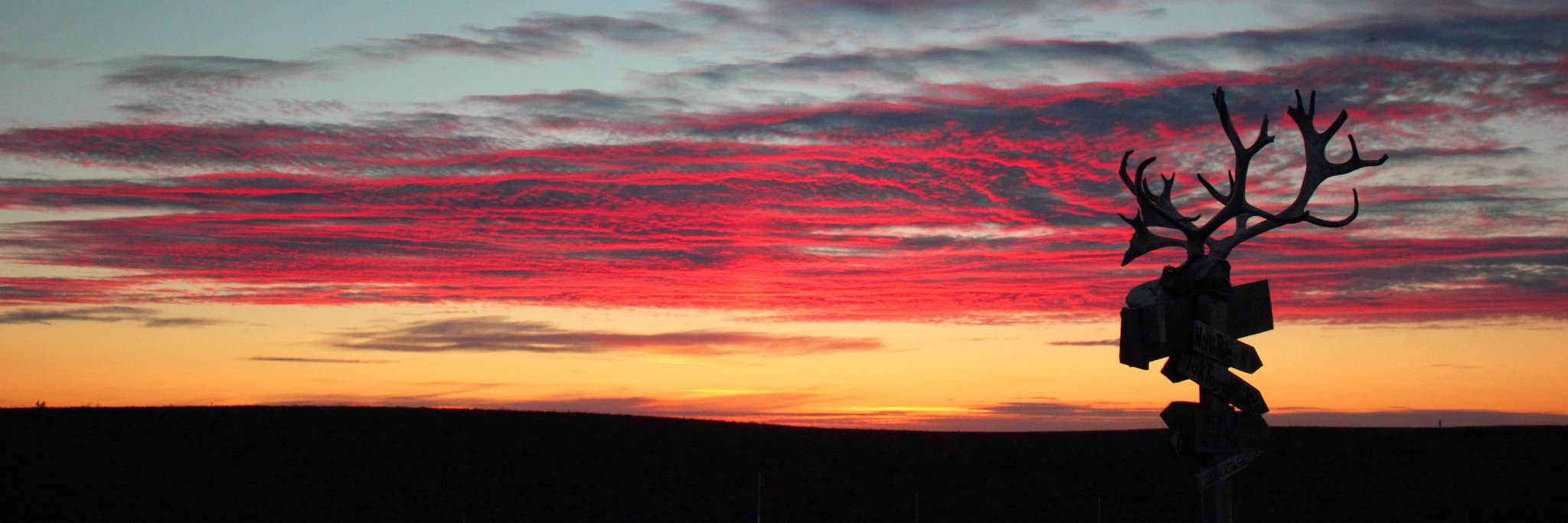 Dr. Ana Sniderhan banner