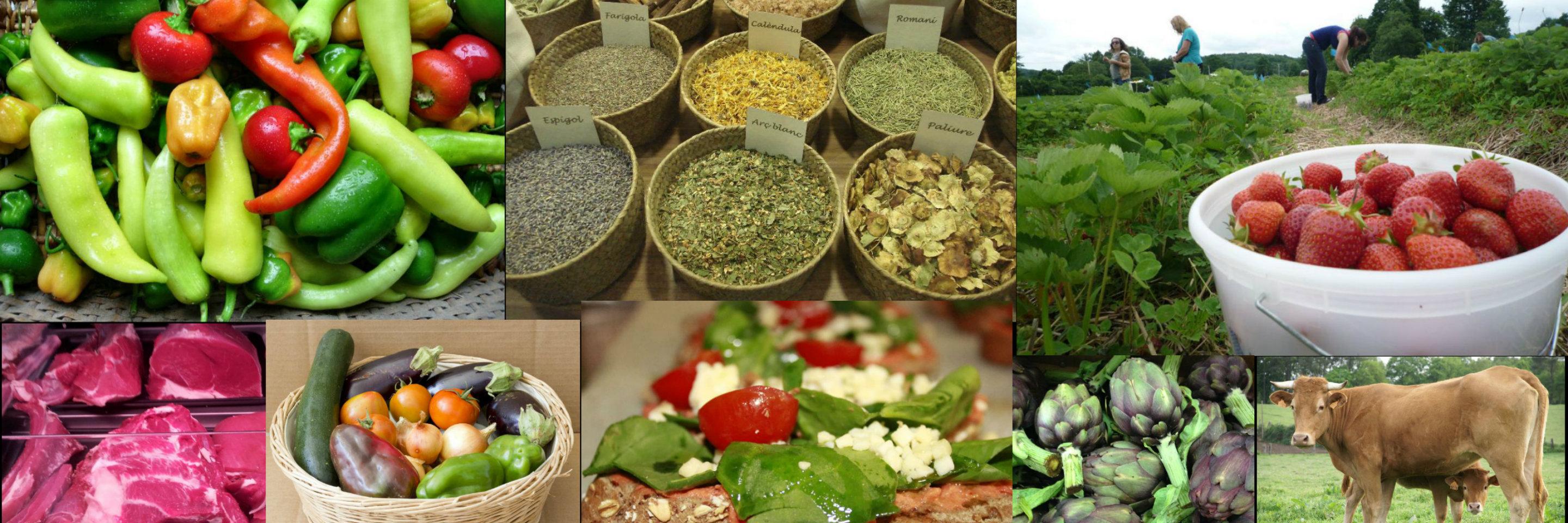 ecoshops's profile banner image