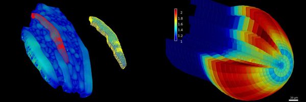 GabriellaBioMec Profile Banner