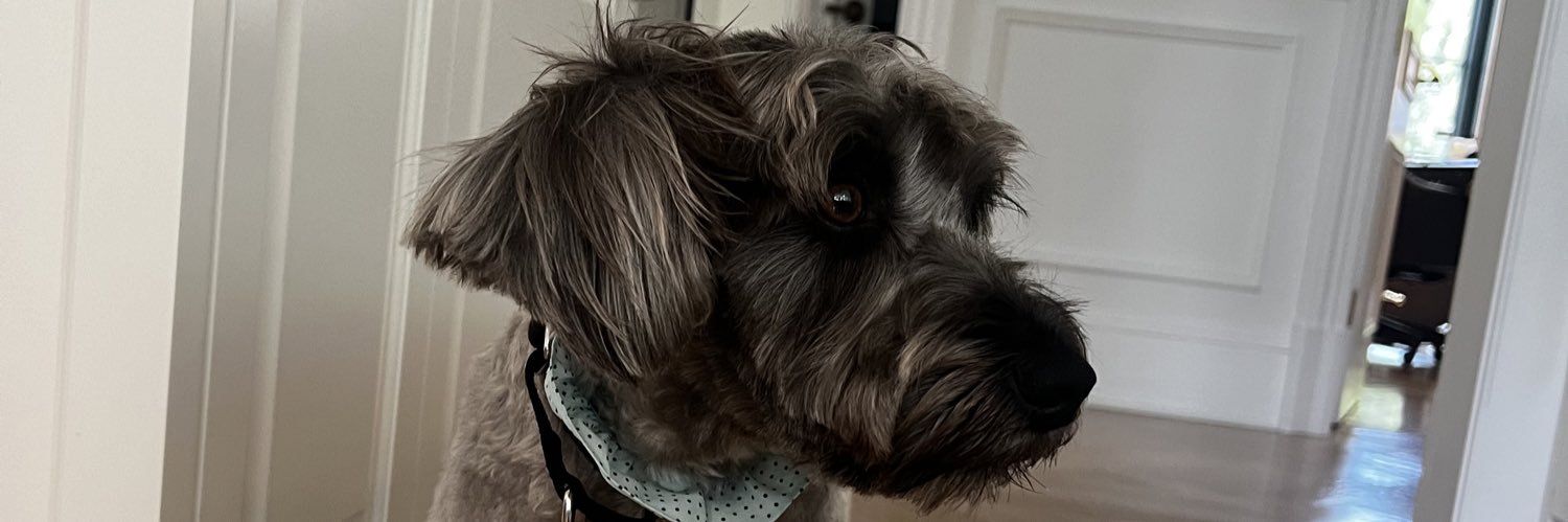 willy_sully's profile banner image