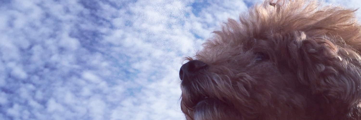 anco1153's profile banner image
