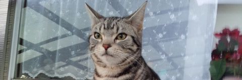 maapank423's profile banner image