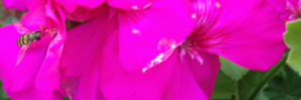 mitcheta3477 Profile Banner