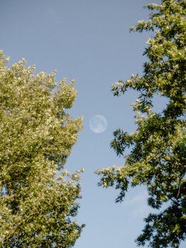 BobbyBates1's profile banner image