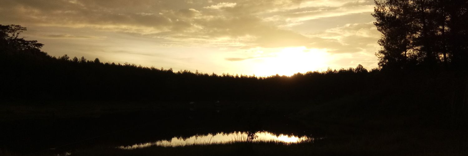 007_oddog's profile banner image
