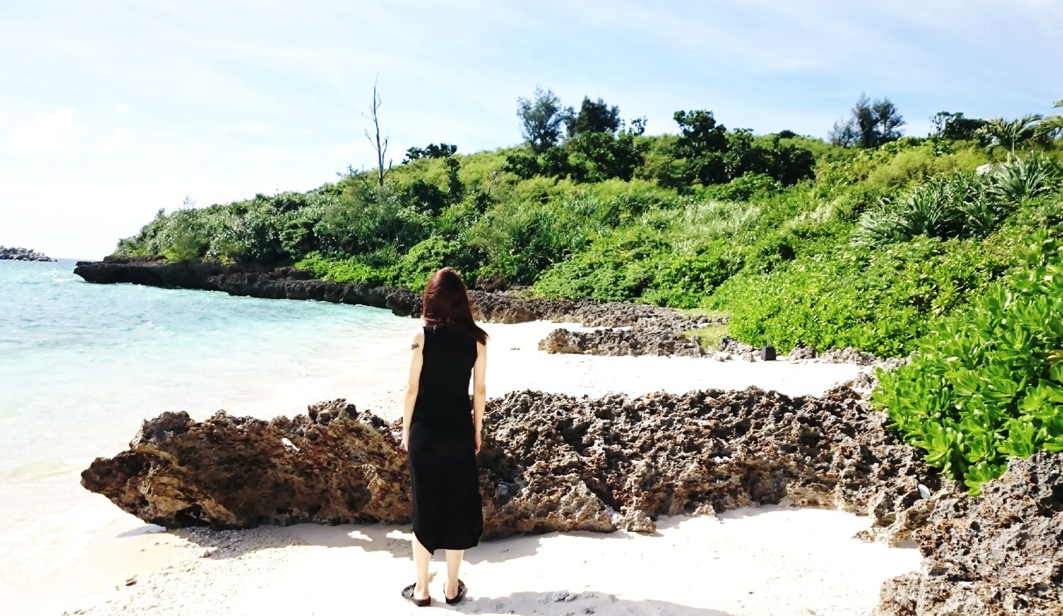 vega_rika_0201's profile banner image