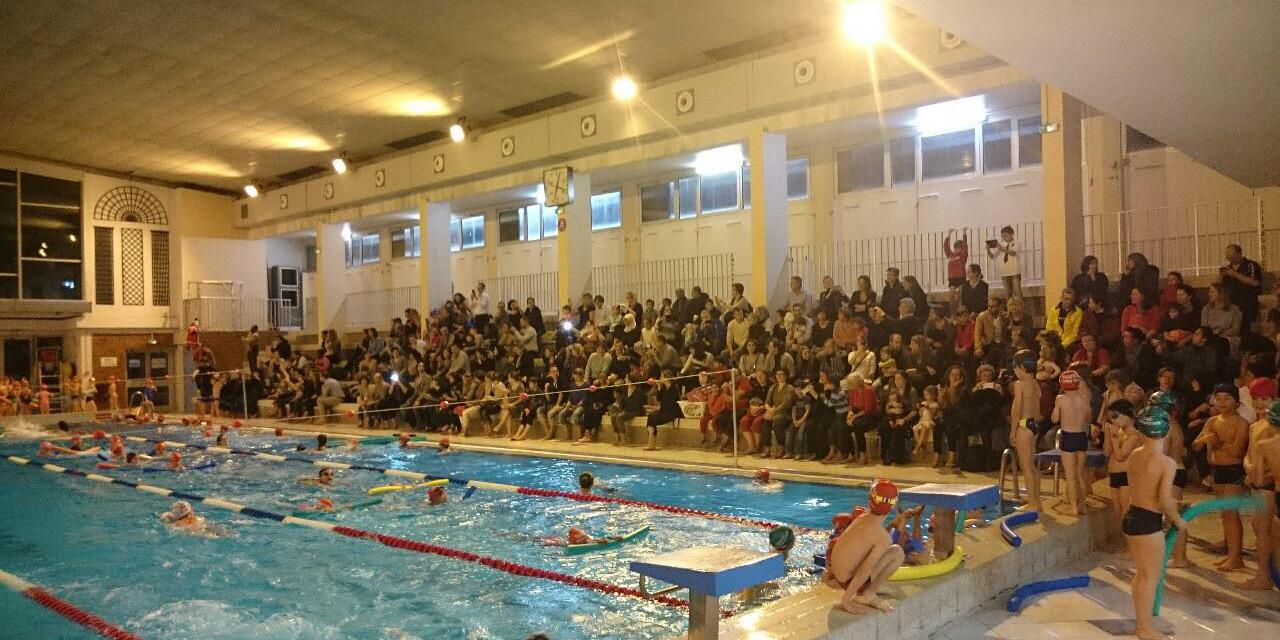 VANVES SWIM TEAM banner